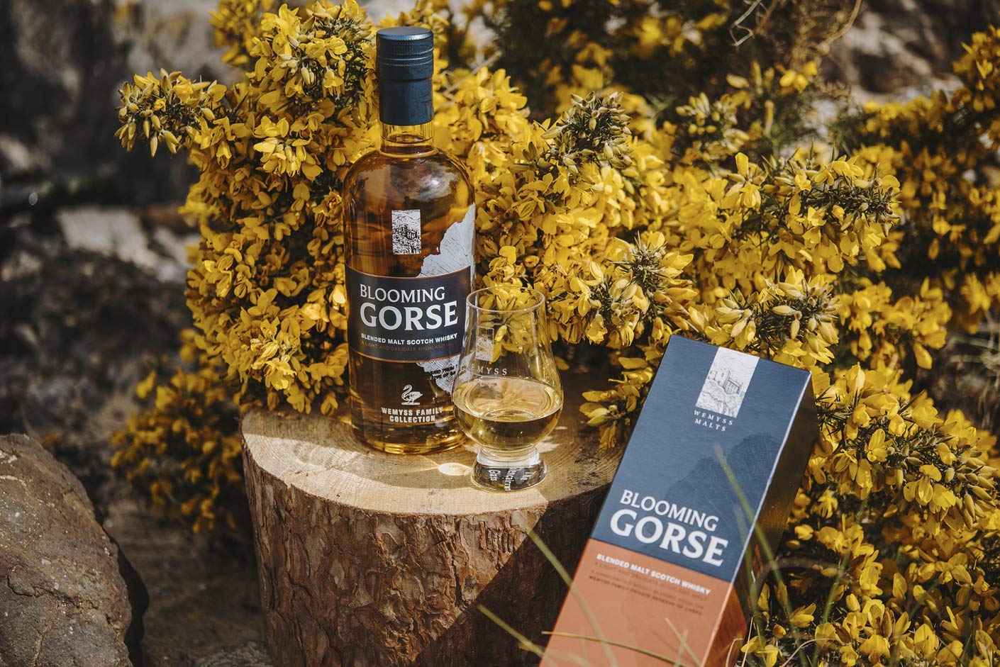 wemyss-malts-blooming-gorse-blended-scotch-whisky-0-7-l image 5