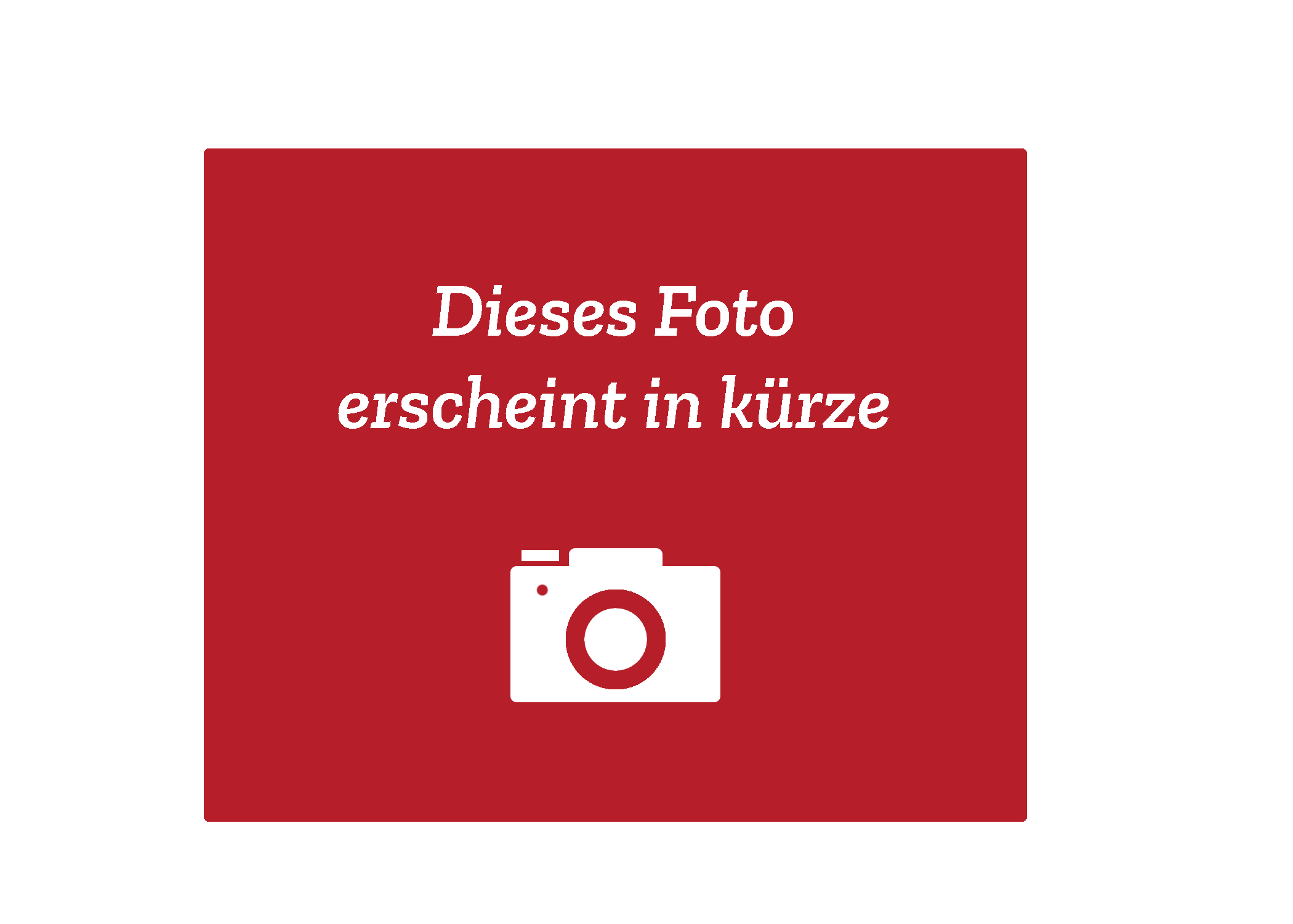 oranier-aktivkohlefilter-f-r-ersatzbedarf-lea-dunstabzug image 1