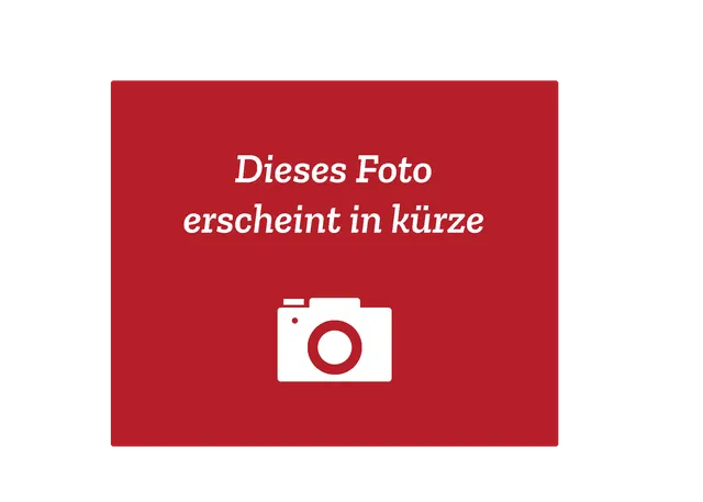 oranier-aktivkohlefilter-f-r-ersatzbedarf-lea-dunstabzug image 1